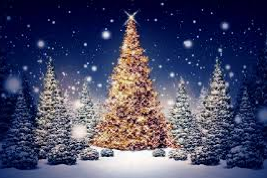 HTS havde stor succes med salg af juletræer