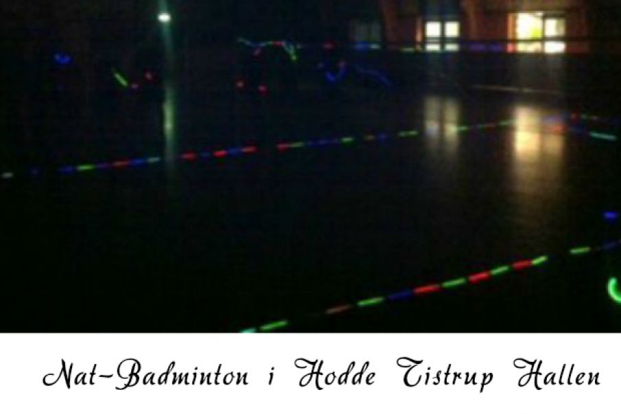 Badminton /natminton