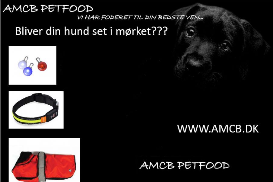 Bliver din hund set i mørket???