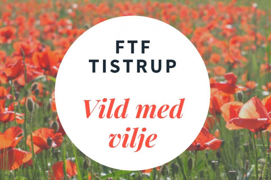 Vild med vilje