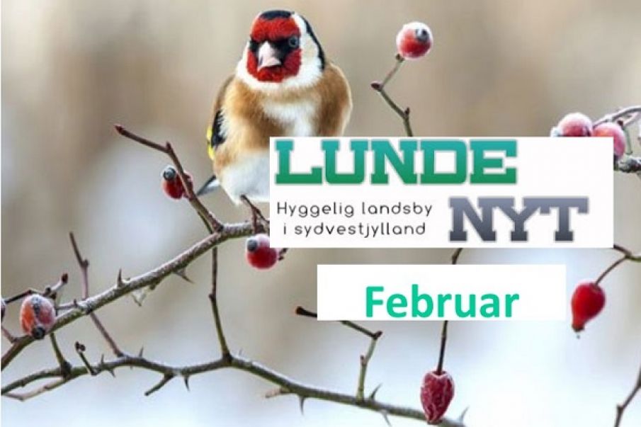 Lunde Nyt februar 2019