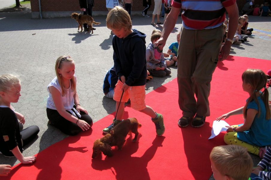 Dyredag Tistrup skole