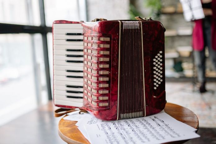 Harmonikalyd i Harmoni: Oplev magien med 6 Harmonikaspillere