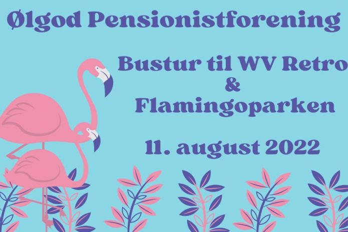 Tur til WV Retro og Flamingoparken 11. august 2022