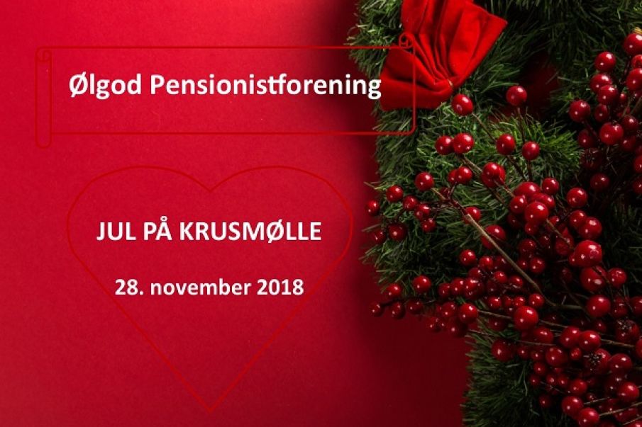 Bustur til Julemarked