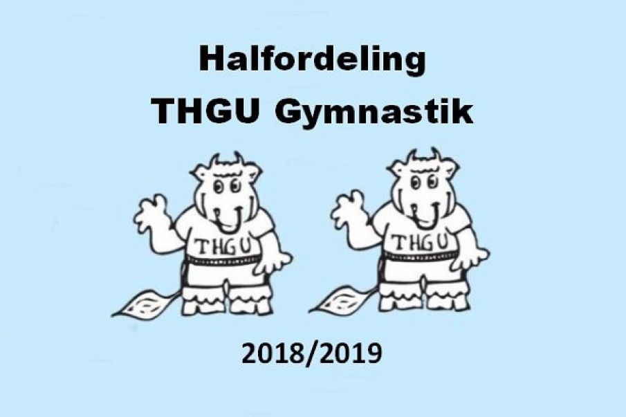 Halfordeling THGU Gymnastik