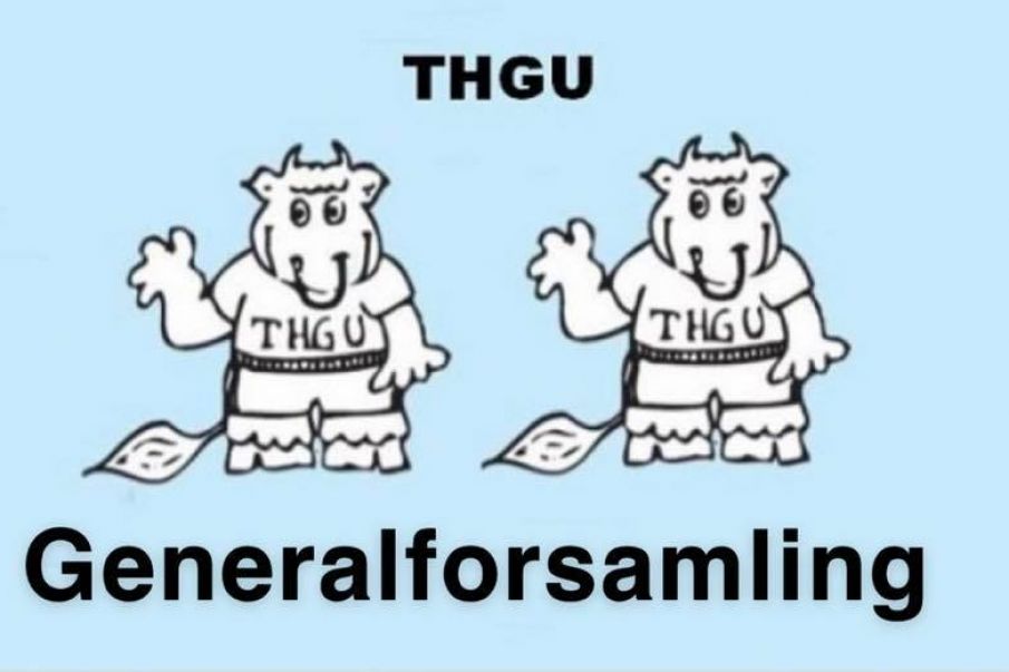 Generalforsamling i THGU