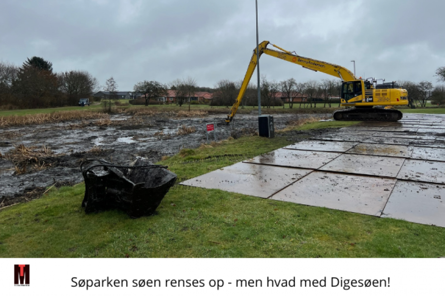 Oprensning af Søparken-søen