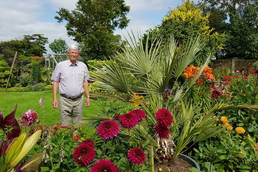 Tambours have: Den 29 & 30 juli er der udstilling i blomsten Fuchsia