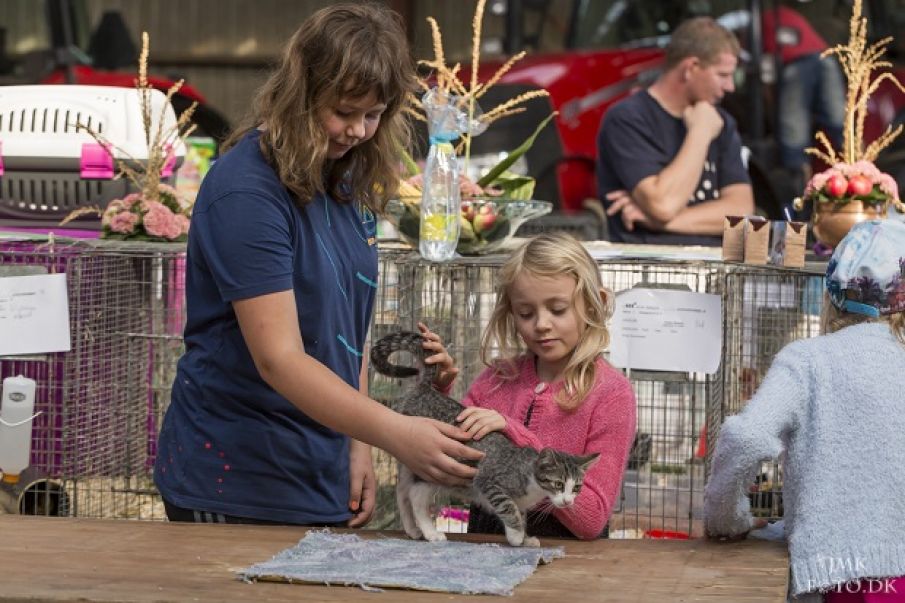 Pressemeddelelse for 4H Børnedyrskuet 2018